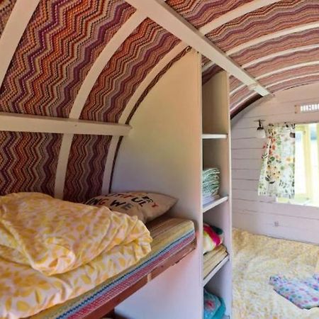 ראת'דרום Clissmann Horse Caravans Glamping מראה חיצוני תמונה