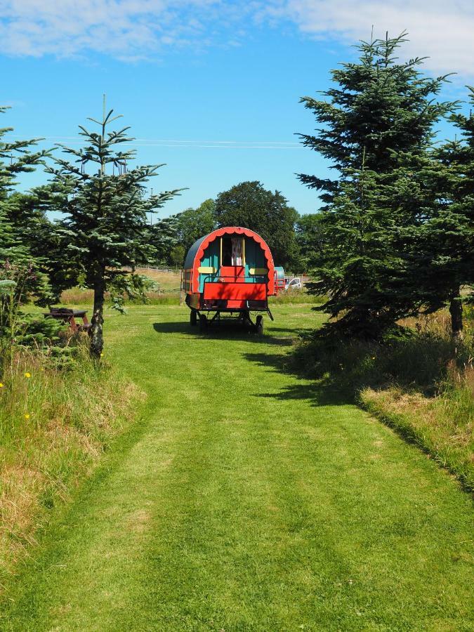 ראת'דרום Clissmann Horse Caravans Glamping מראה חיצוני תמונה