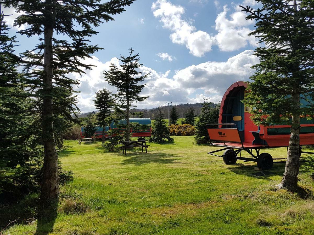 ראת'דרום Clissmann Horse Caravans Glamping מראה חיצוני תמונה