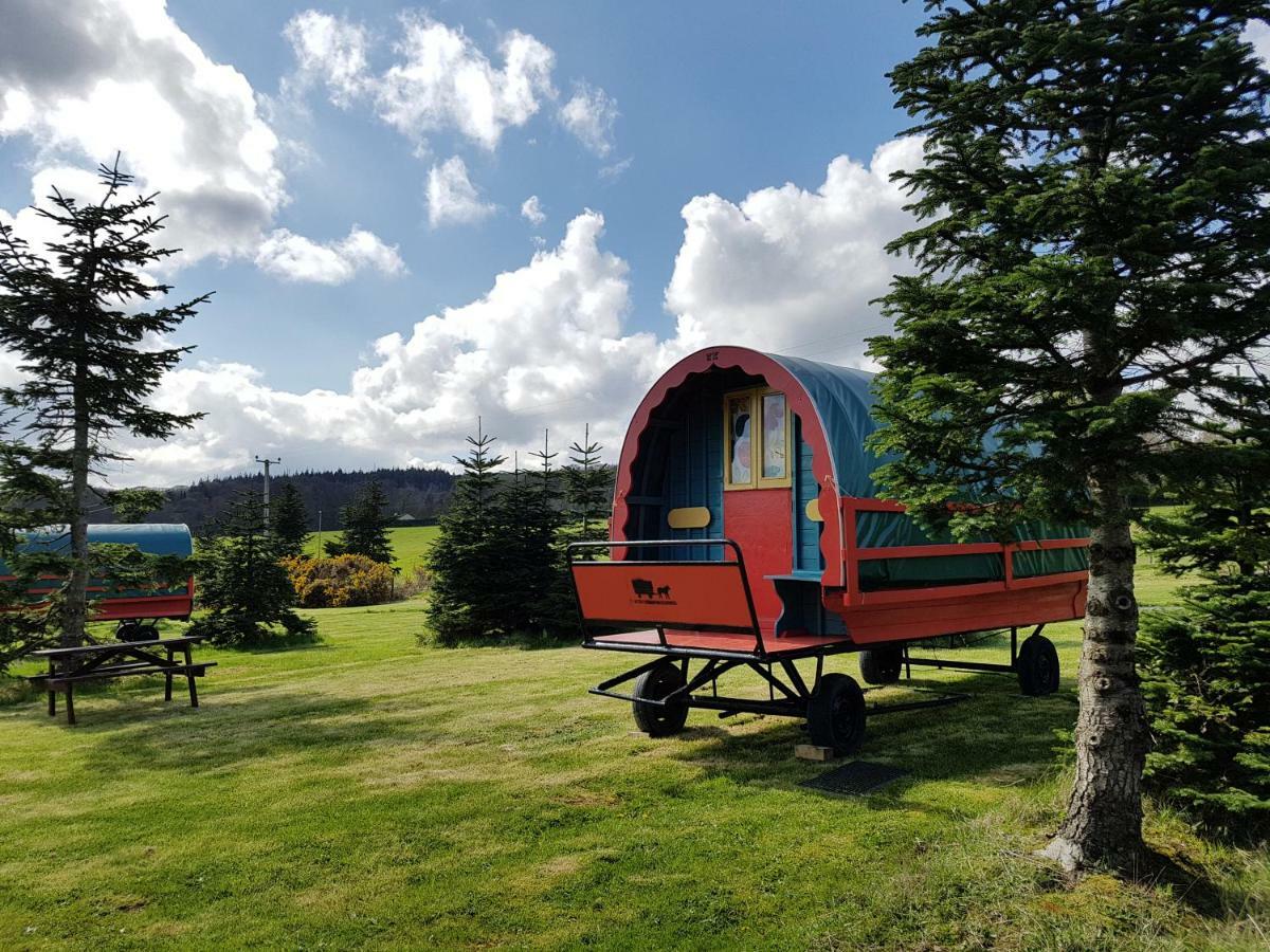 ראת'דרום Clissmann Horse Caravans Glamping מראה חיצוני תמונה