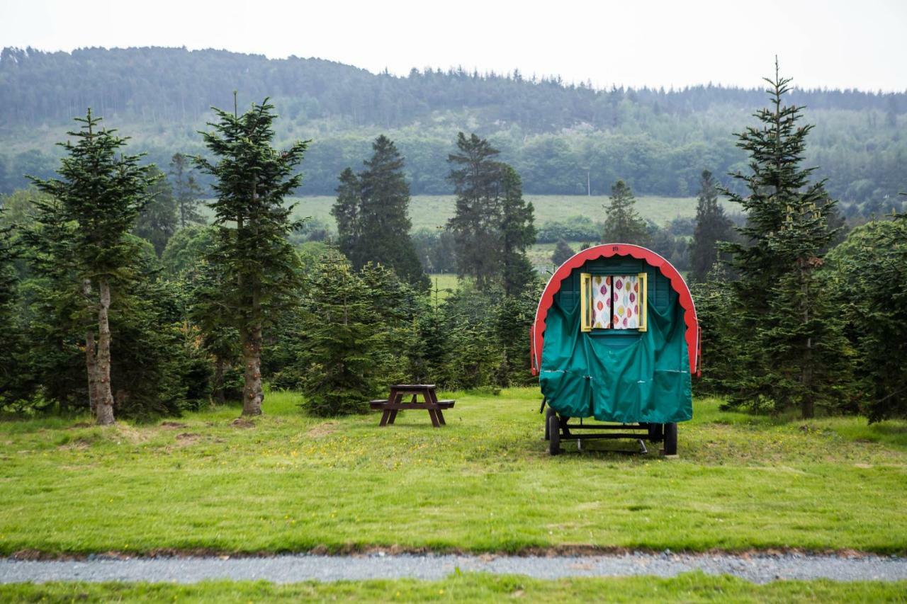ראת'דרום Clissmann Horse Caravans Glamping מראה חיצוני תמונה