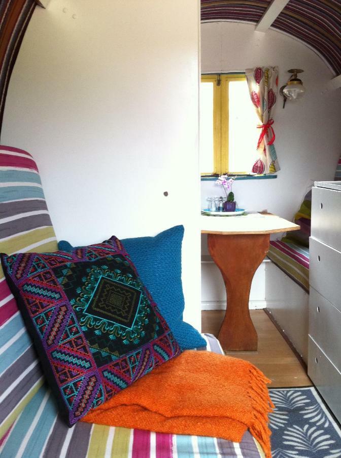 ראת'דרום Clissmann Horse Caravans Glamping מראה חיצוני תמונה